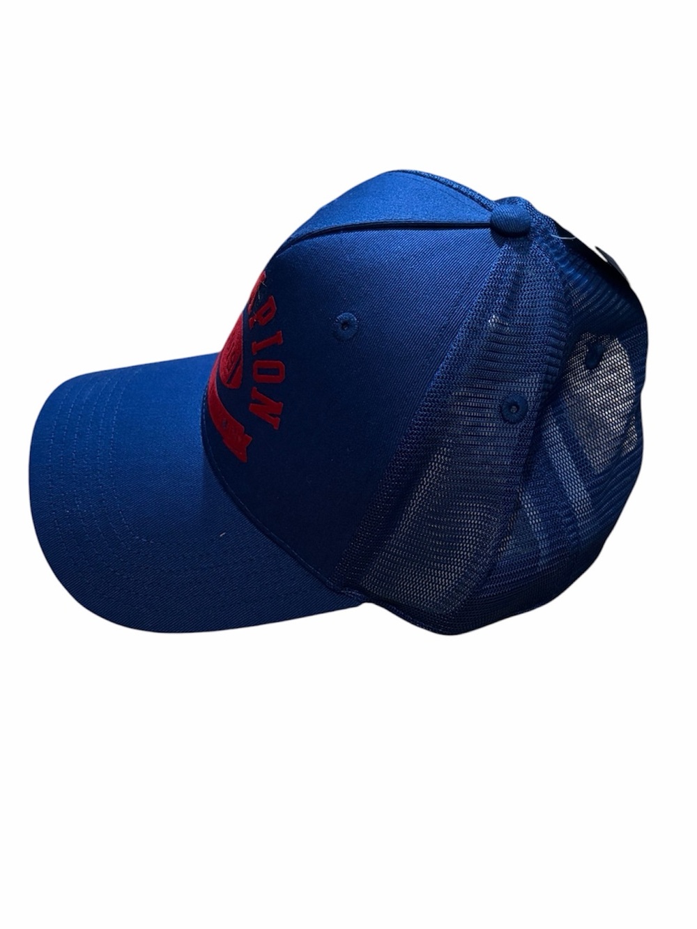 Champion Blue Baseball Cap OS